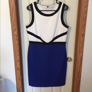 Calvin Klein Blue White Black Dress
